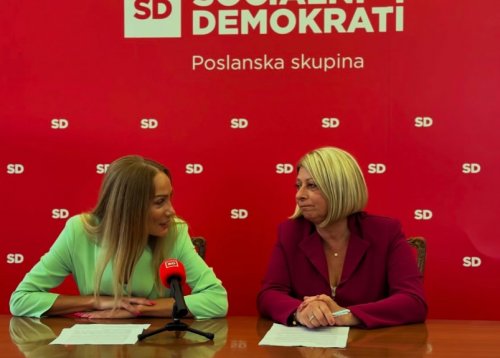 Slika članka
