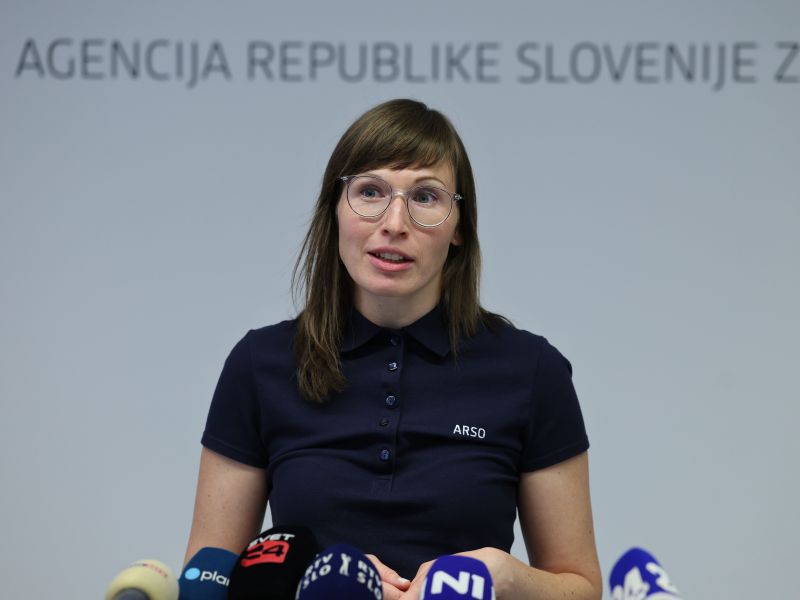 Slika članka