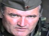Slika članka