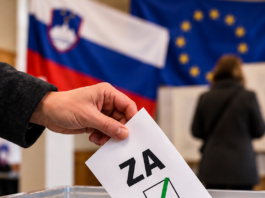 Slika članka