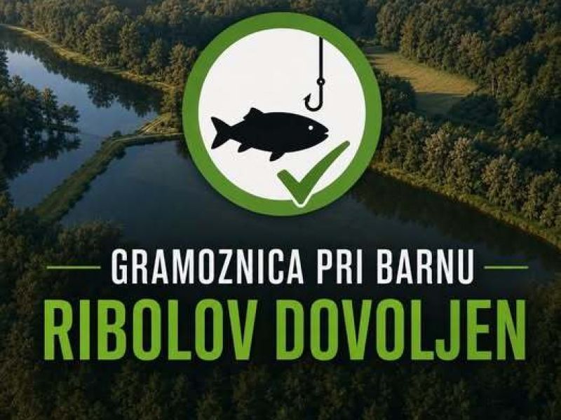 Slika članka
