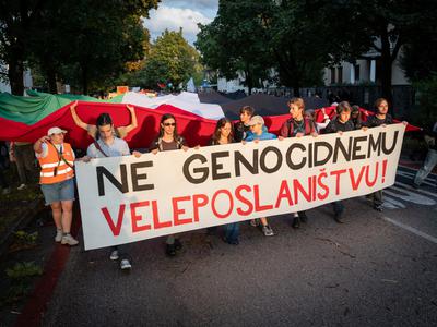 Slika članka