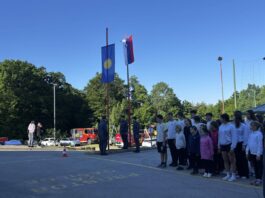 Slika članka