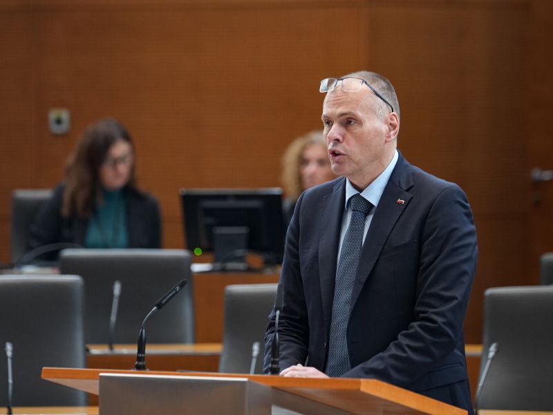 Slika članka