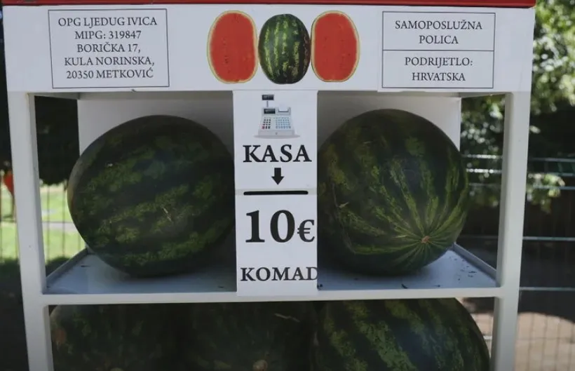 Slika članka