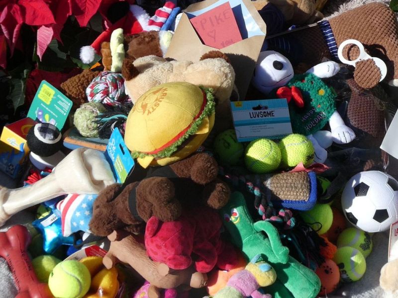 Slika članka