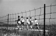 Slika članka