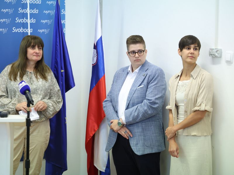 Slika članka