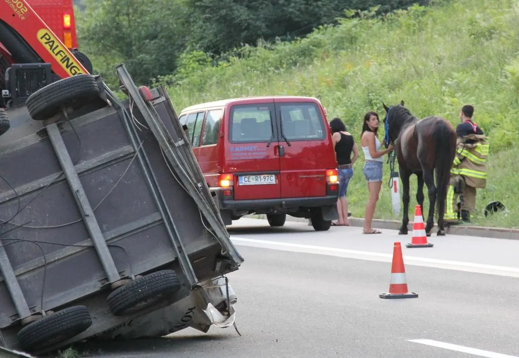 Slika članka