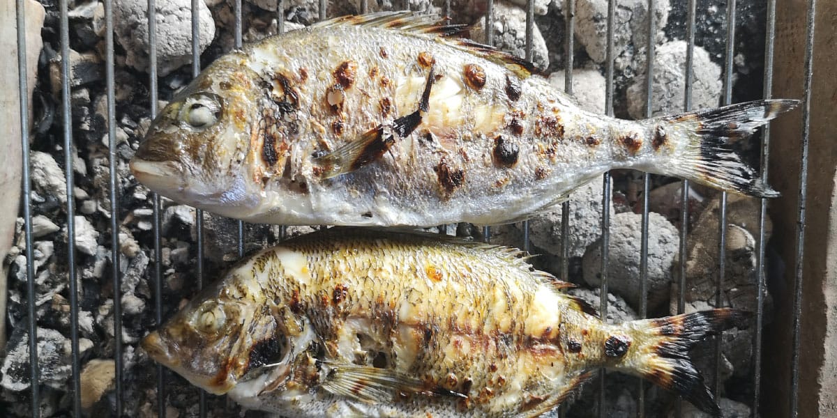 Slika članka