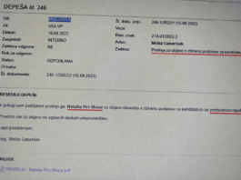 Slika članka