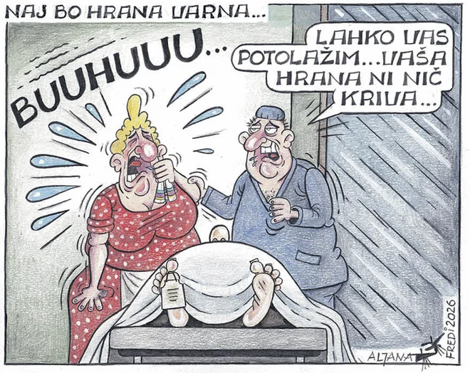 Slika članka