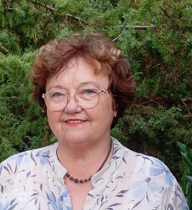 Slika članka