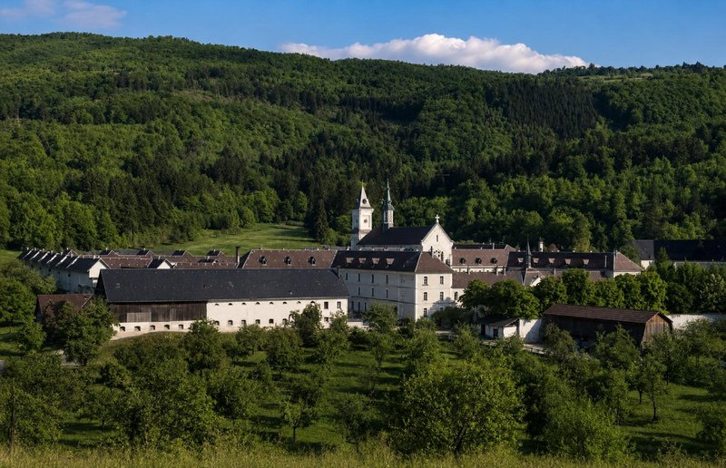 Slika članka