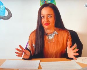 Slika članka