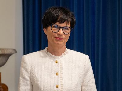 Slika članka