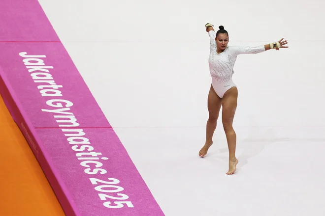 Slika članka