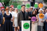 Slika članka