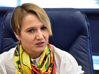 Slika članka