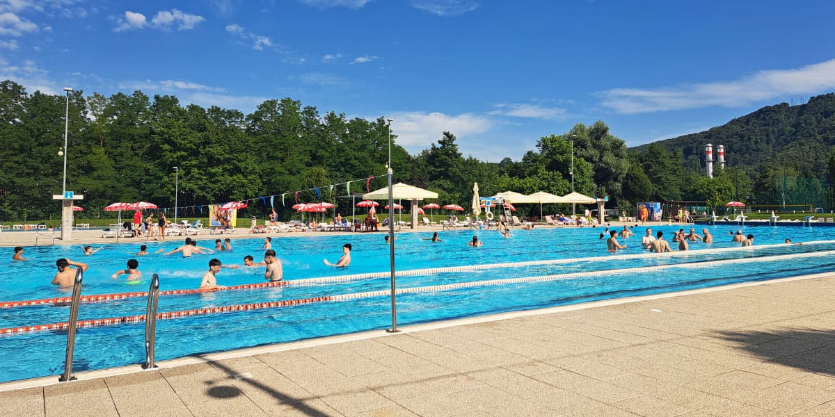 Slika članka