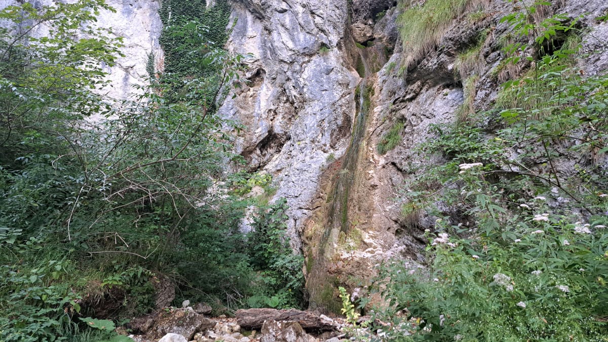 Slika članka