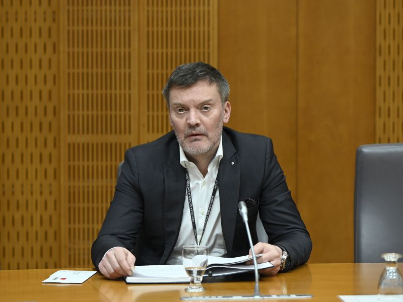 Slika članka