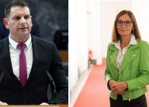 Slika članka