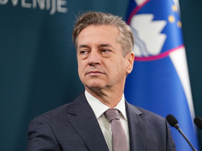 Slika članka