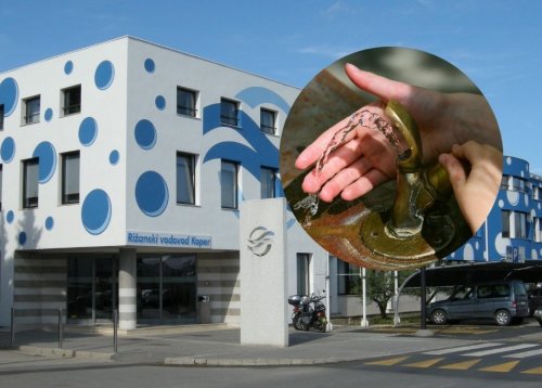 Slika članka