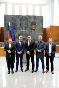Slika članka