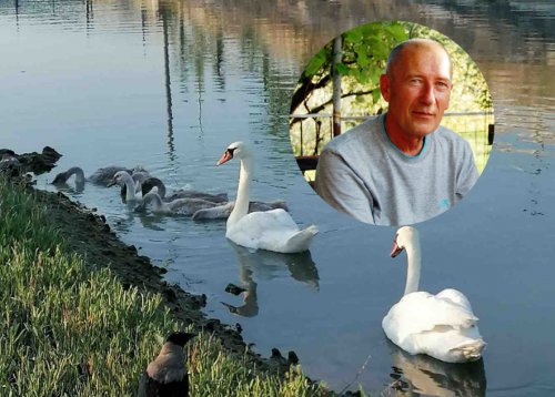 Slika članka