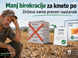 Slika članka