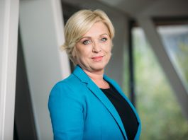 Slika članka