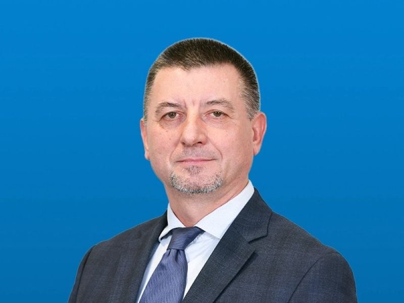 Slika članka