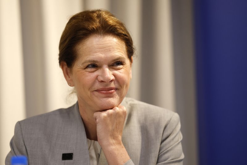 Slika članka