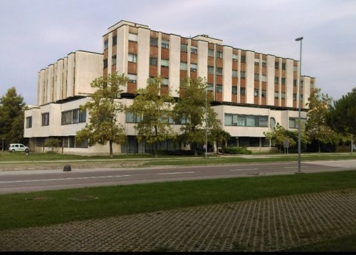 Slika članka