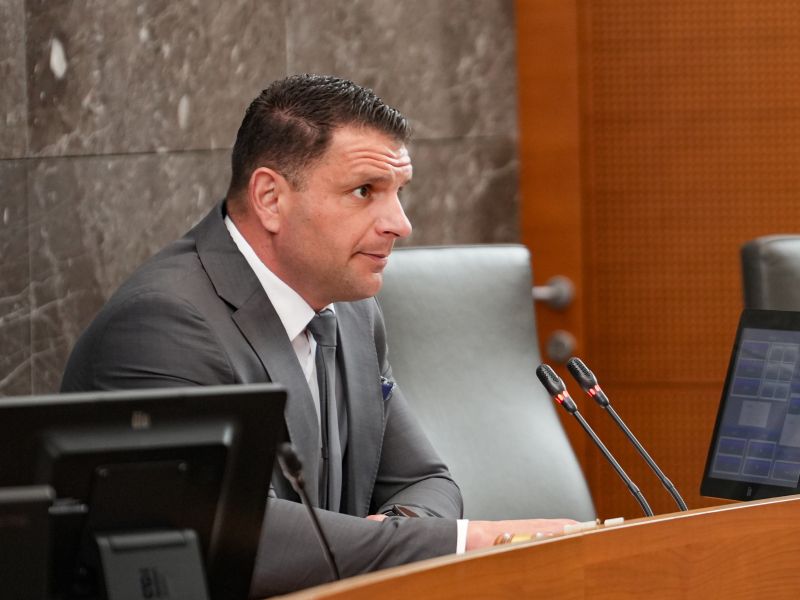 Slika članka