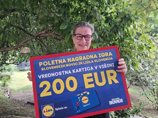 Slika članka