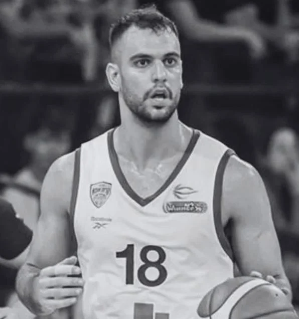 Slika članka