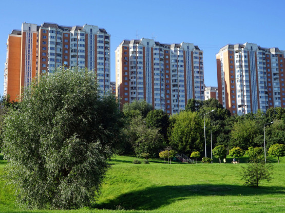 Slika članka