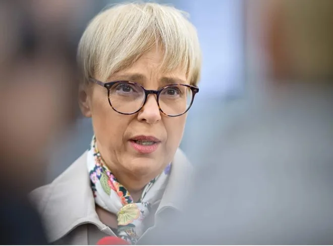 Slika članka