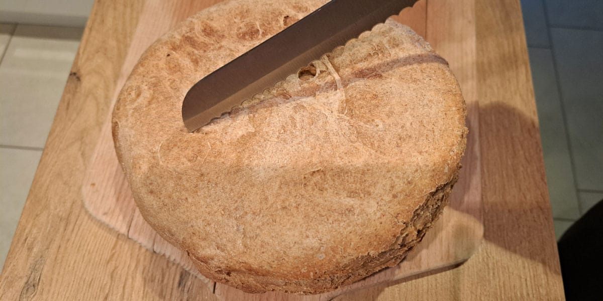 Slika članka