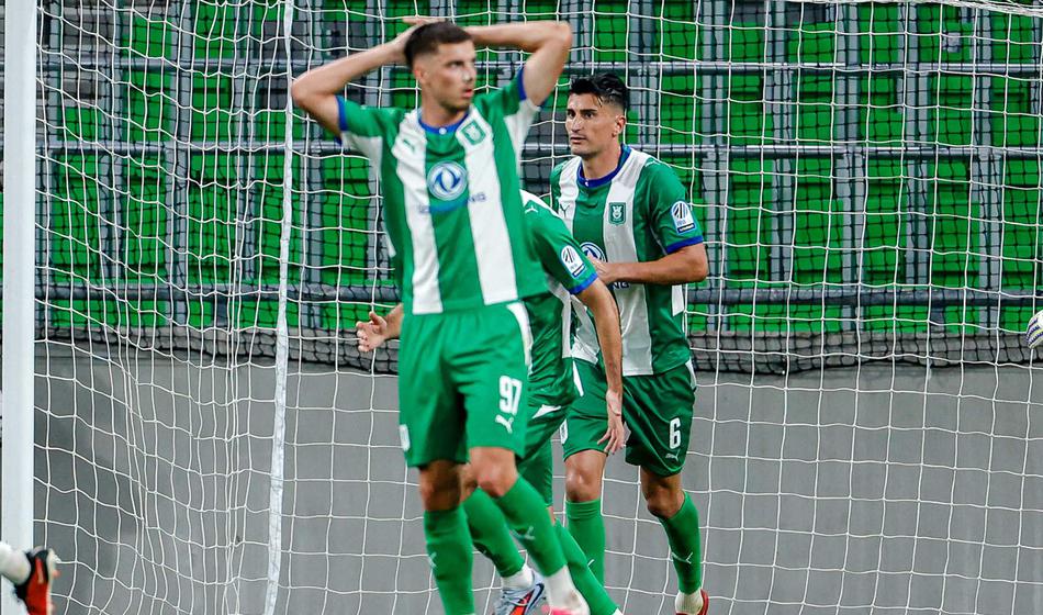 Slika članka