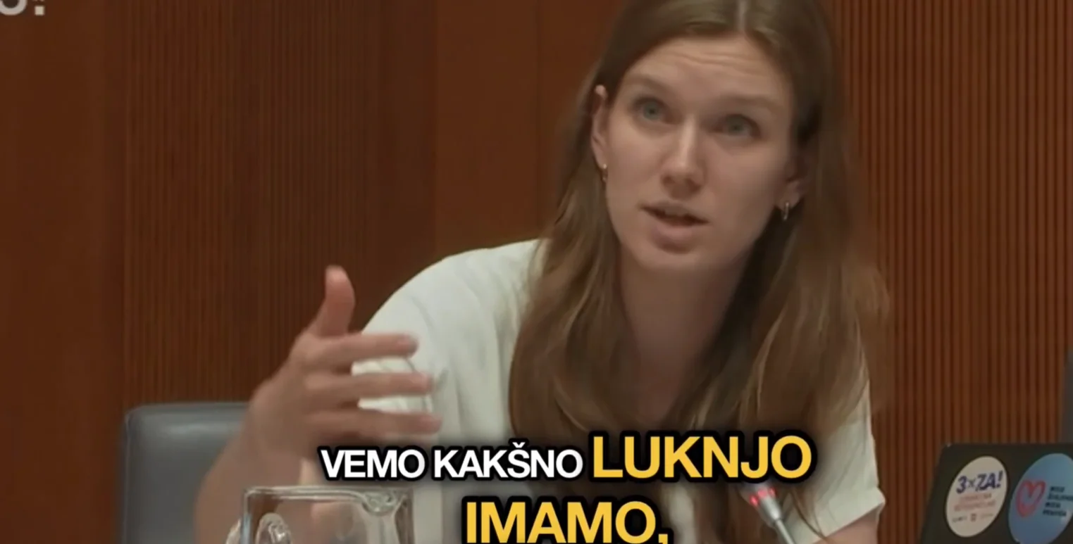 Slika članka