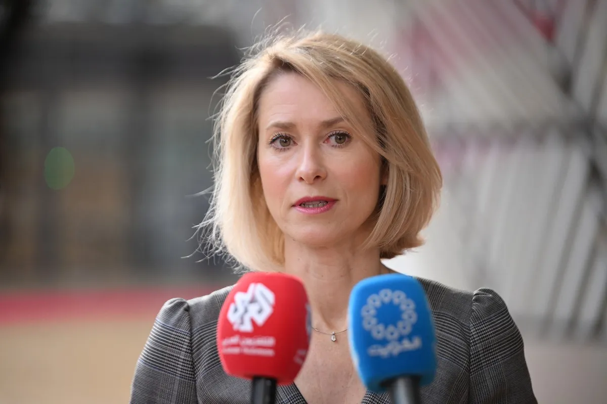 Slika članka