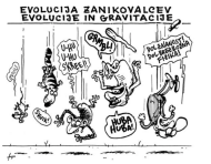 Slika članka