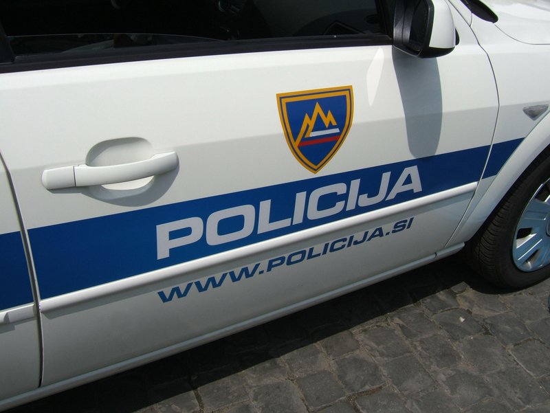 Slika članka