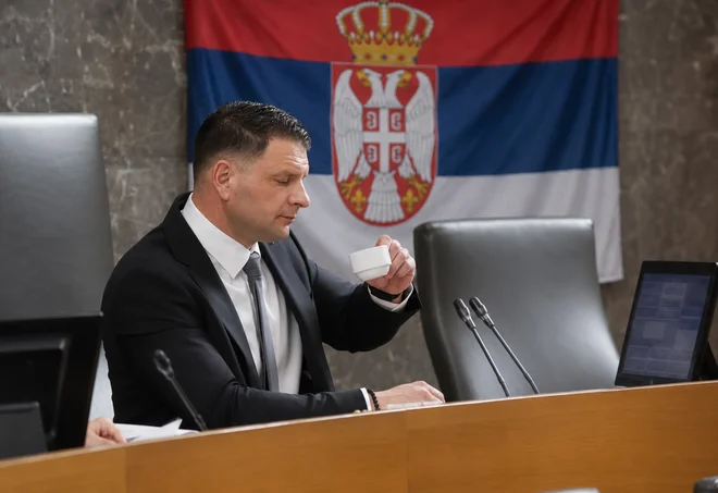 Slika članka