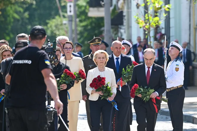 Slika članka