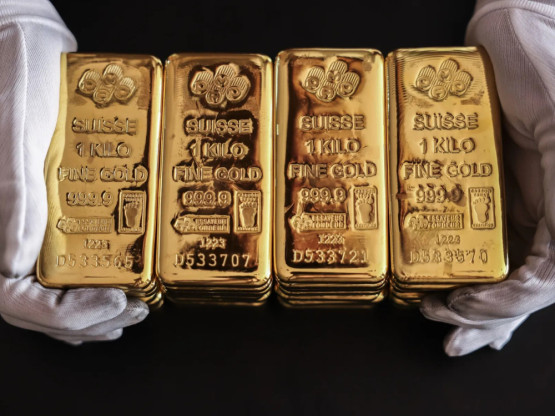 Slika članka